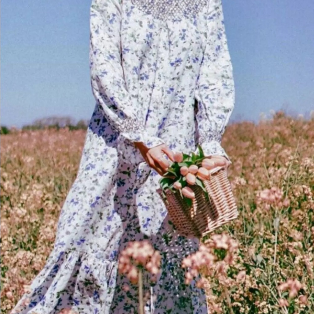 Zara Rustic Floral Print Dress *New